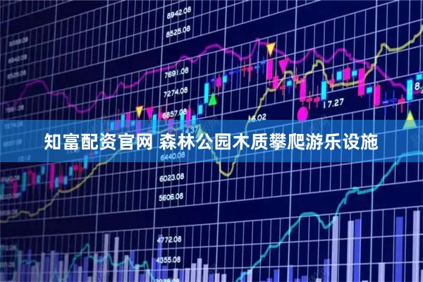 知富配资官网 森林公园木质攀爬游乐设施