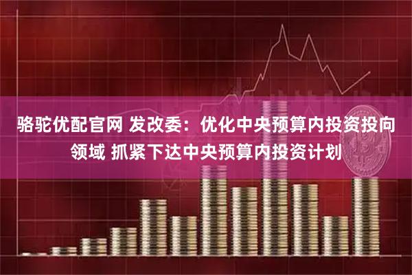 骆驼优配官网 发改委：优化中央预算内投资投向领域 抓紧下达中央预算内投资计划