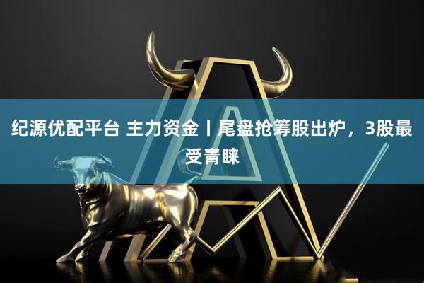 纪源优配平台 主力资金丨尾盘抢筹股出炉，3股最受青睐