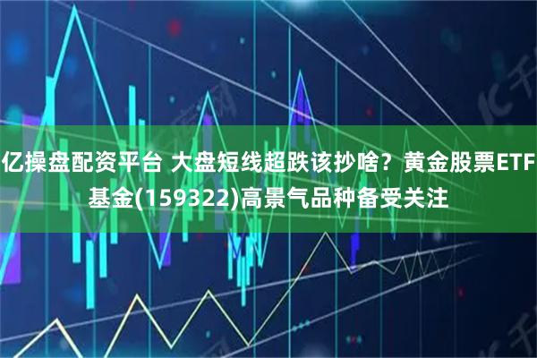 亿操盘配资平台 大盘短线超跌该抄啥？黄金股票ETF基金(159322)高景气品种备受关注